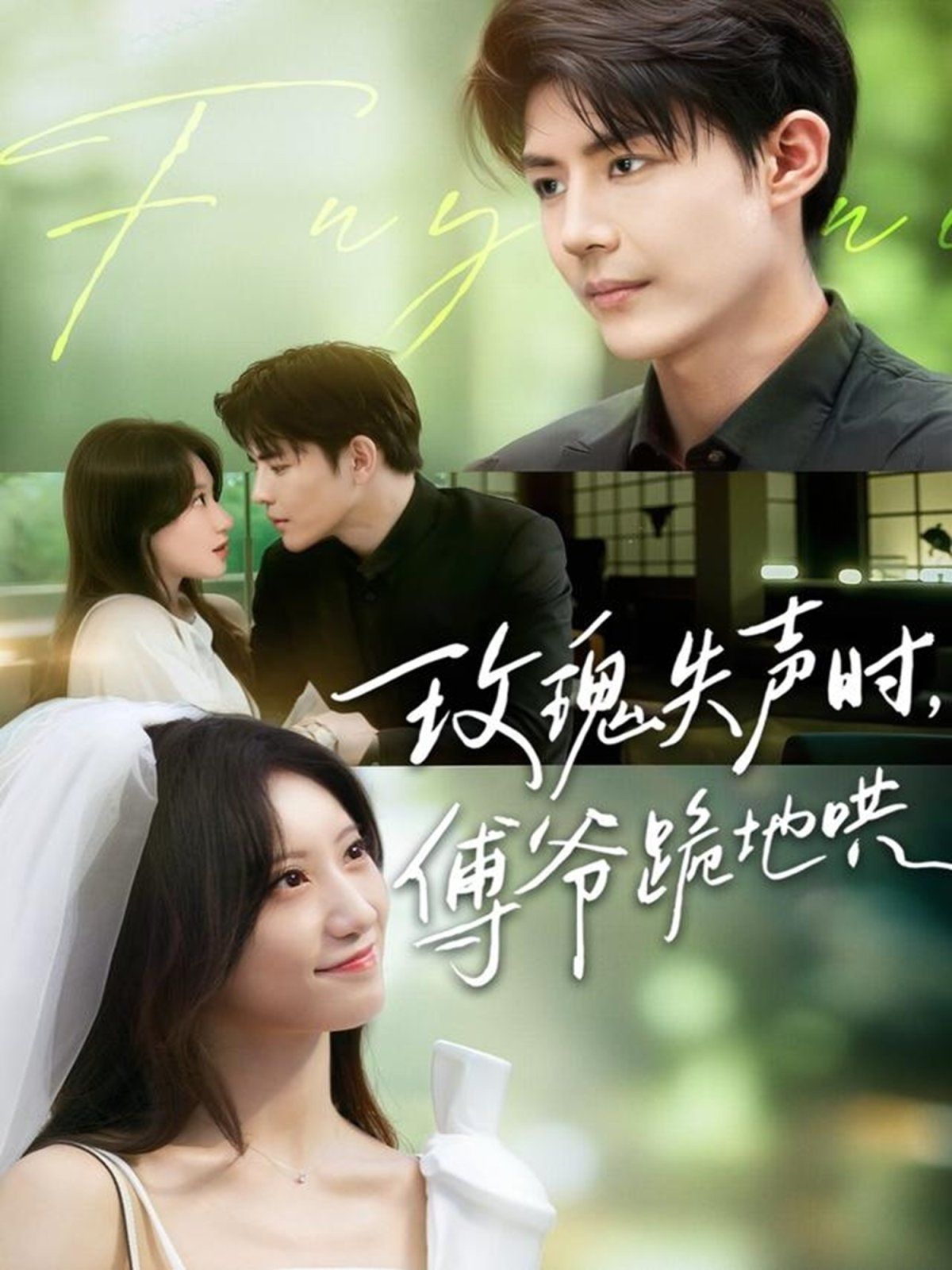 玫瑰失声时傅爷跪地哄(全集)