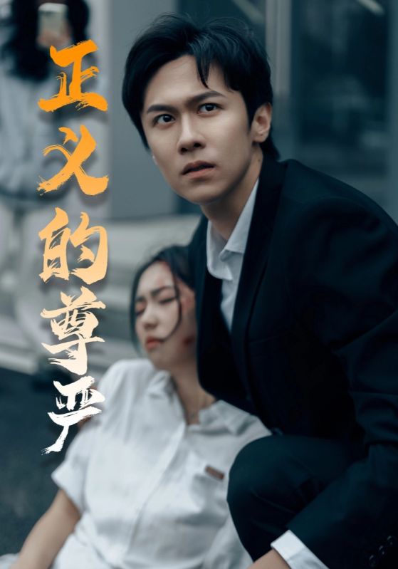 正义的尊严第22集